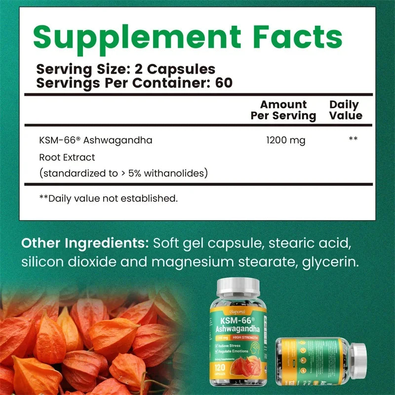 KSM-66 Ashwagandha Extracts - Relieve Stress and Mood, Improve Sleep, and Increase Focus and Brain Health