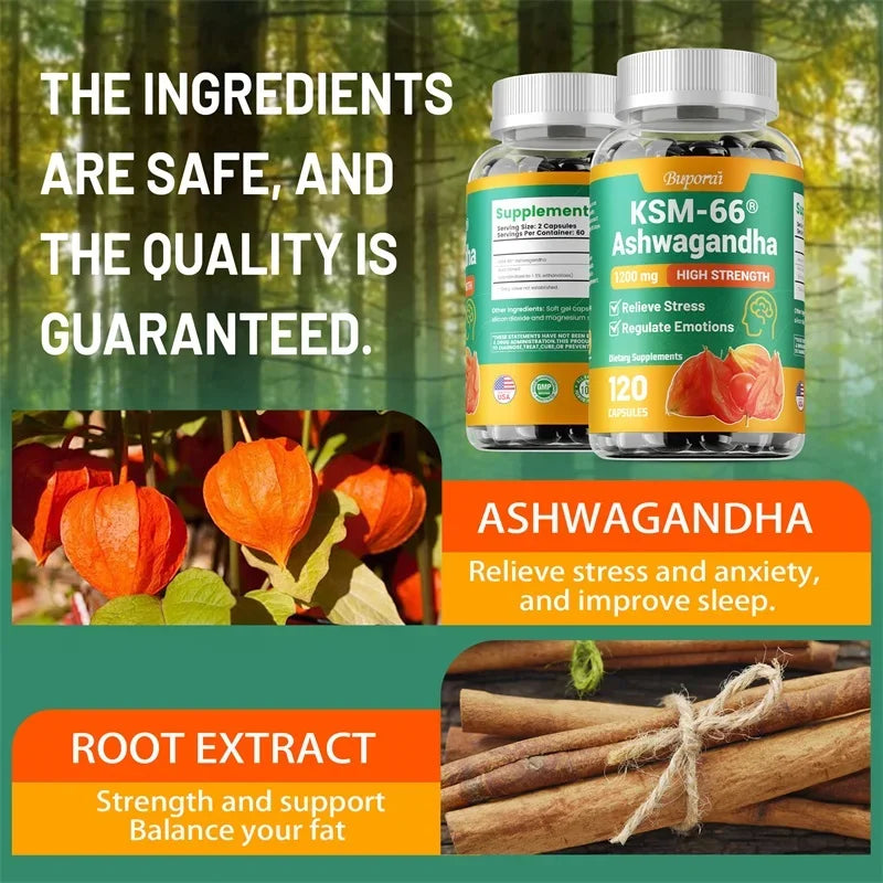 KSM-66 Ashwagandha Extracts - Relieve Stress and Mood, Improve Sleep, and Increase Focus and Brain Health